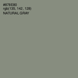 #878E80 - Natural Gray Color Image
